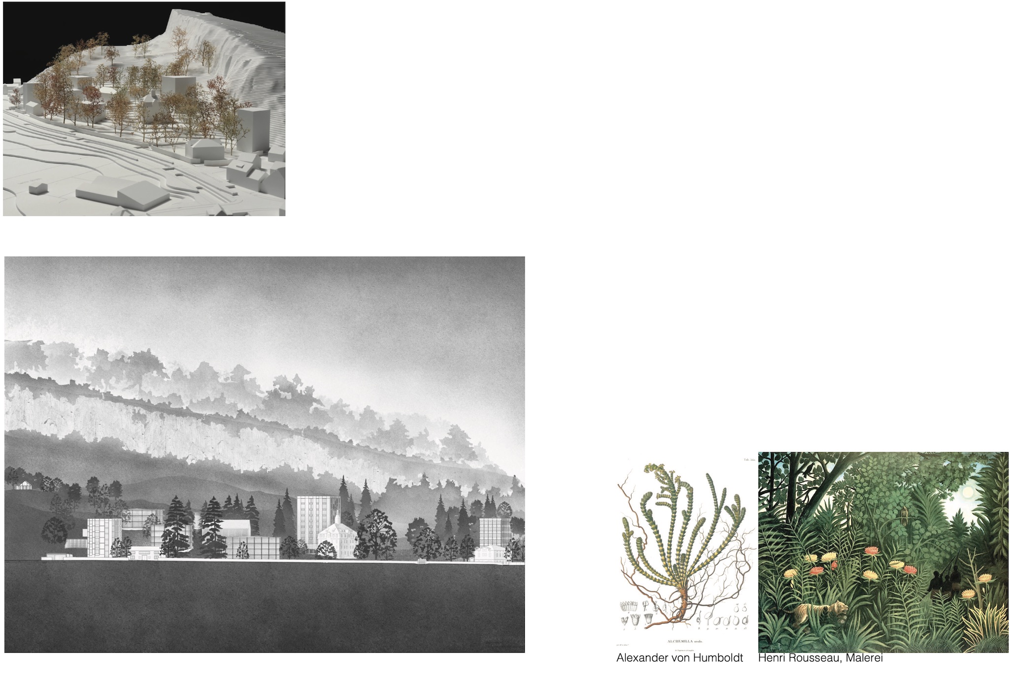 Umnutzung Areal Marienburg